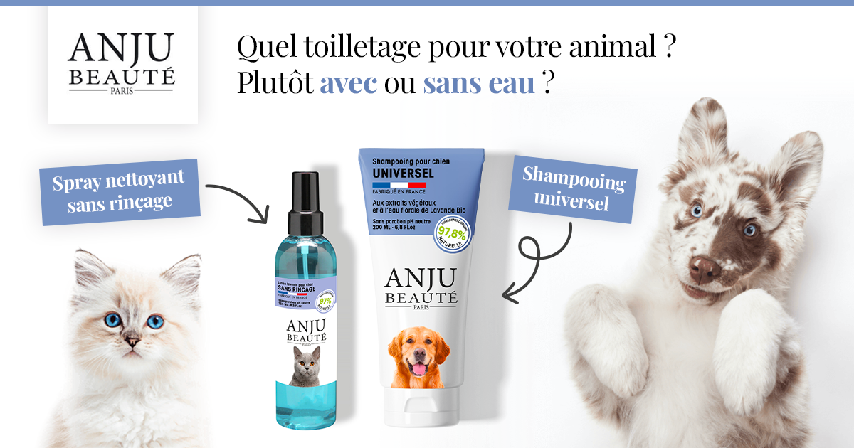 Testez les shampooings et sprays nettoyants Anju Beauté pour chien ou chat